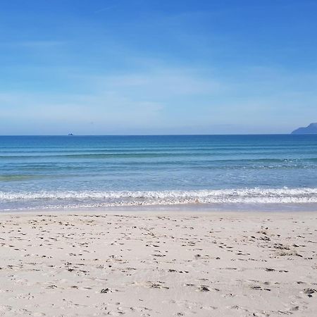 Ideal Property Mallorca - Concha Port de Alcudia  Bagian luar foto
